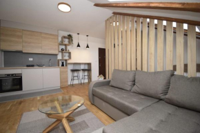 Studio apartment Art Zone II
